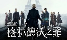 扒叔爆料厨子视频大全,厨子视频大全背后的精彩故事