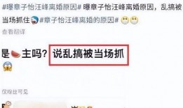 刘大锤爆料婚变视频,揭秘明星夫妻背后的真相